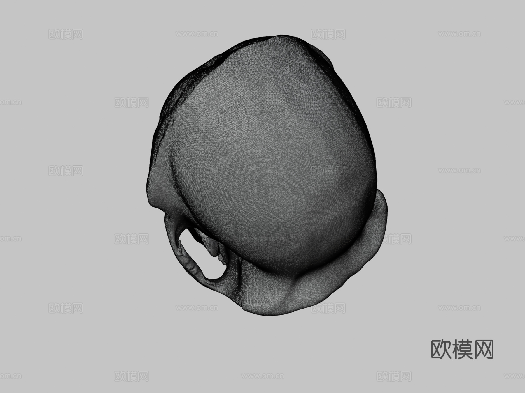 哺乳动物  黑猩猩3d模型下载（渲染图3）