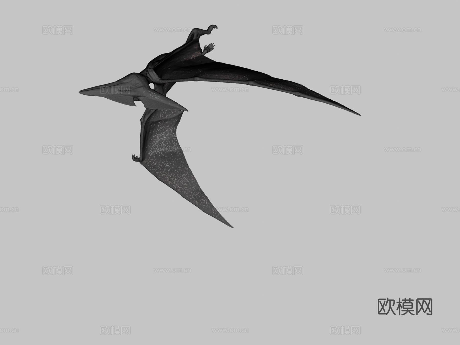 无齿翼龙3d模型下载（渲染图2）