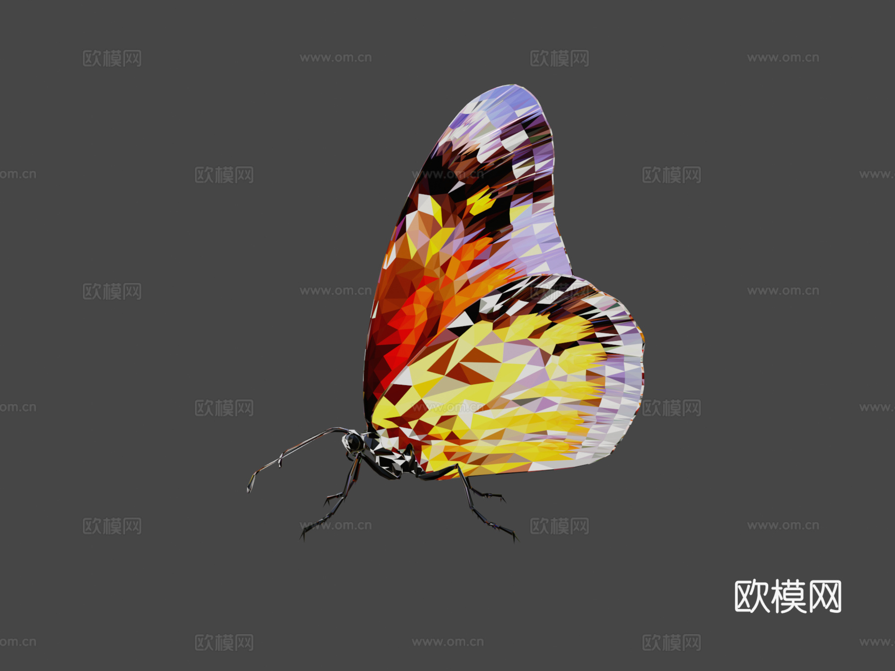 蝴蝶橙色低多边形艺术昆虫3d模型下载（渲染图6）