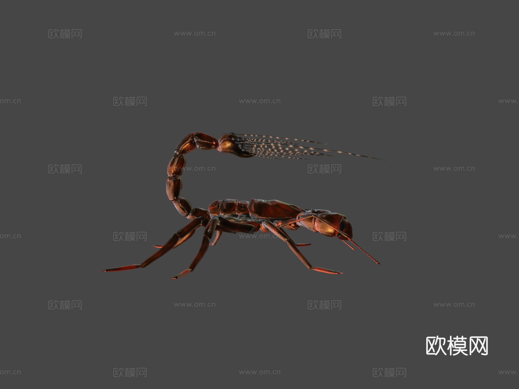 射击蝎子3d模型下载（渲染图6）