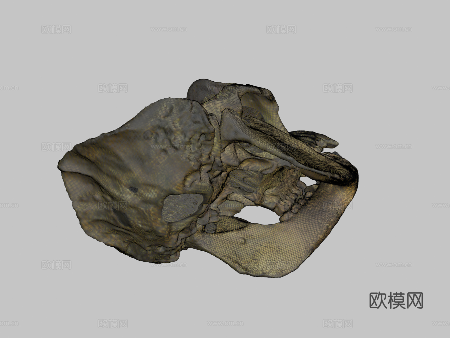 大猩猩3d模型下载（渲染图2）