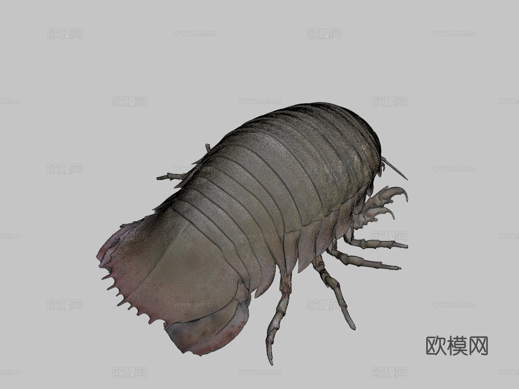 巨型等足虫3d模型下载（渲染图2）