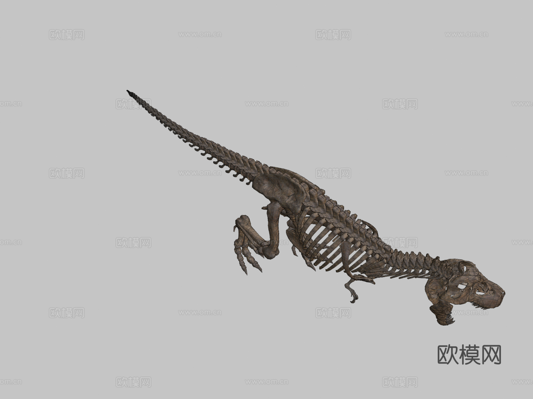 霸王龙骨架3d模型下载（渲染图2）