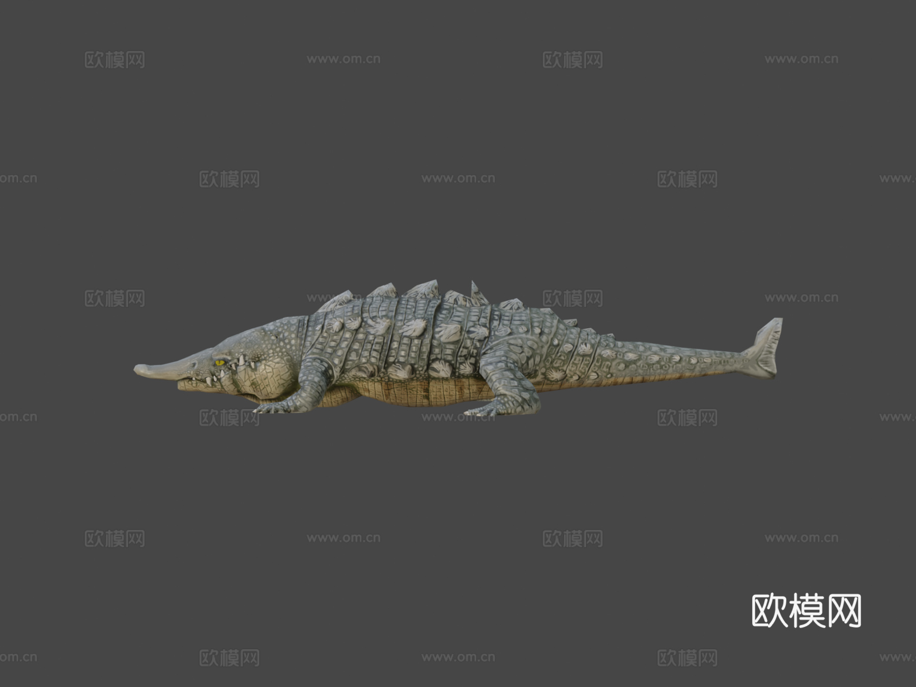 鲟鳄高多边形3d模型下载（渲染图7）