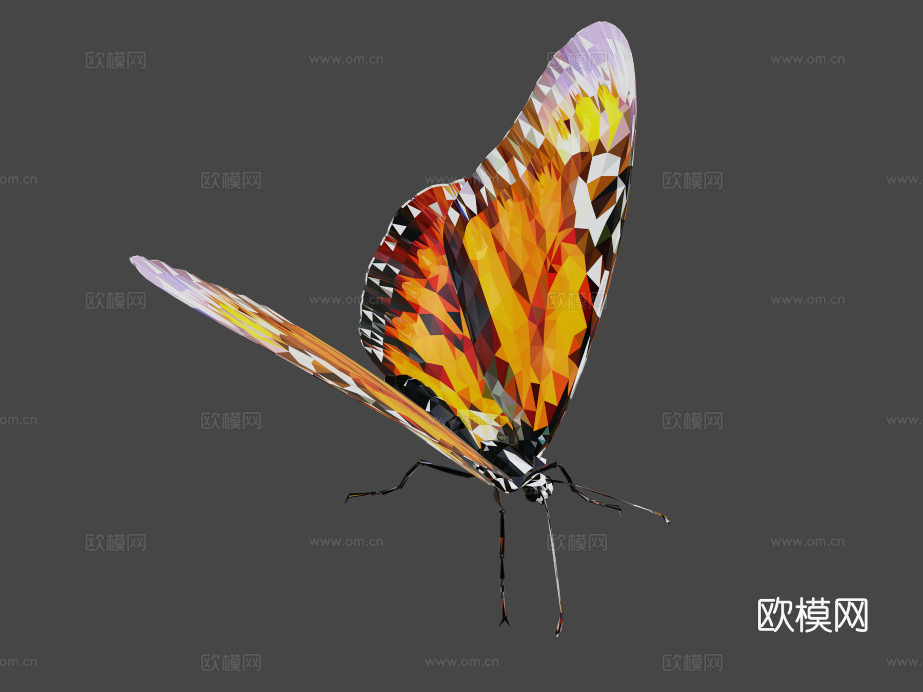 蝴蝶橙色低多边形艺术昆虫3d模型下载（渲染图7）