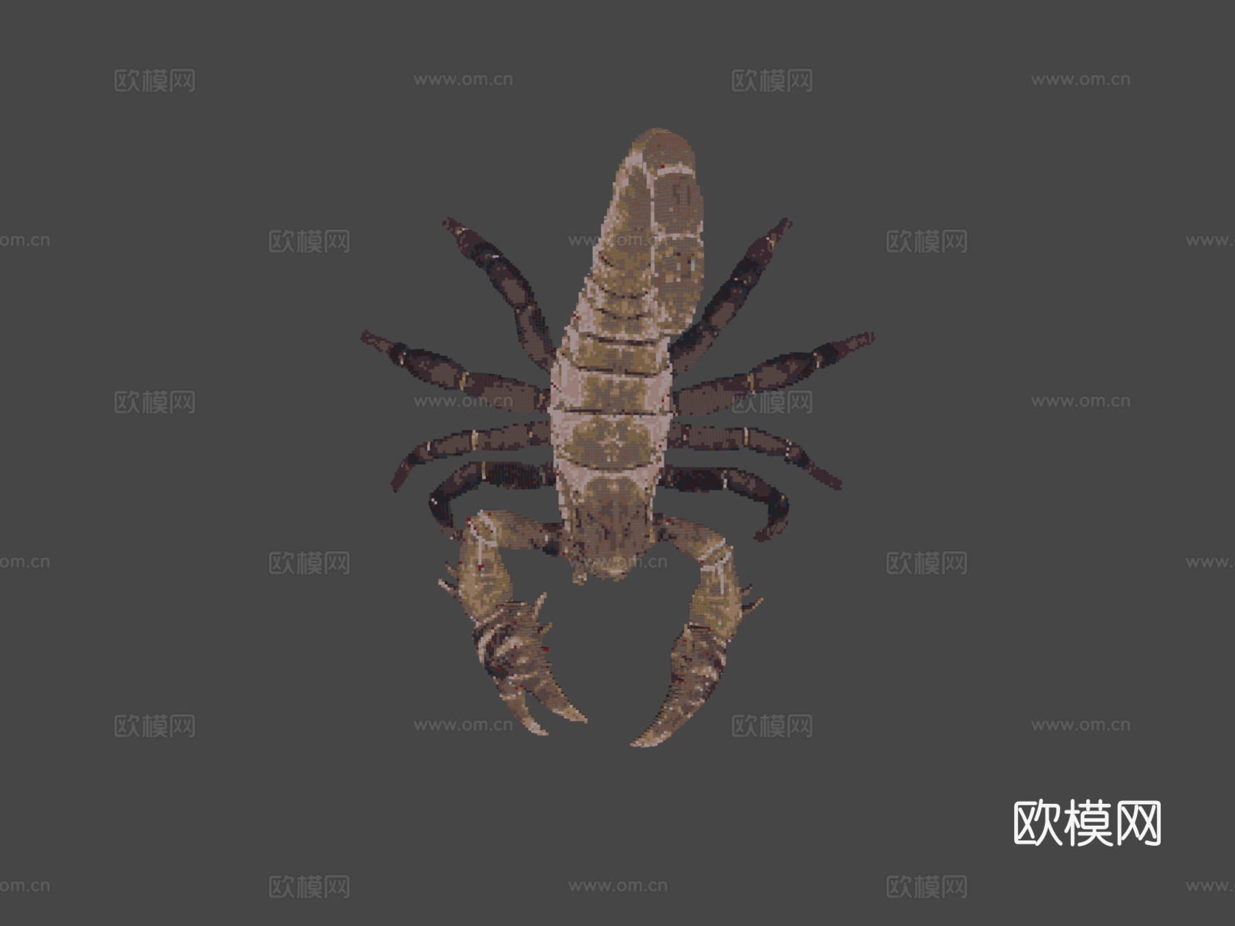 我的世界蝎子建造示意图3d模型下载（渲染图7）