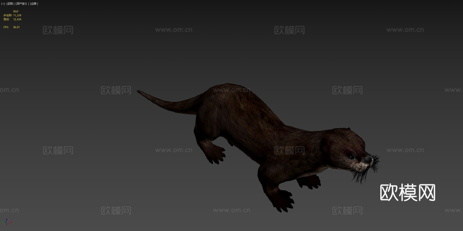 威林挑衅水獭3d模型下载（渲染图4）