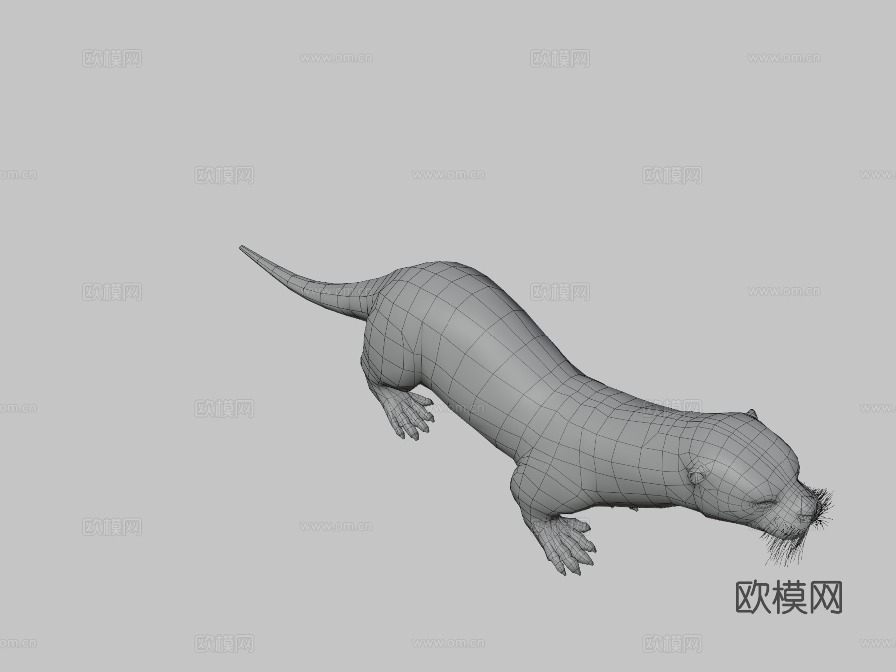 威林挑衅水獭3d模型下载（渲染图3）