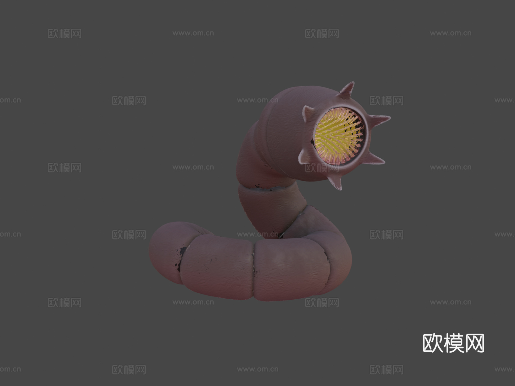 沙丘地虫4K纹理3d模型下载（渲染图7）