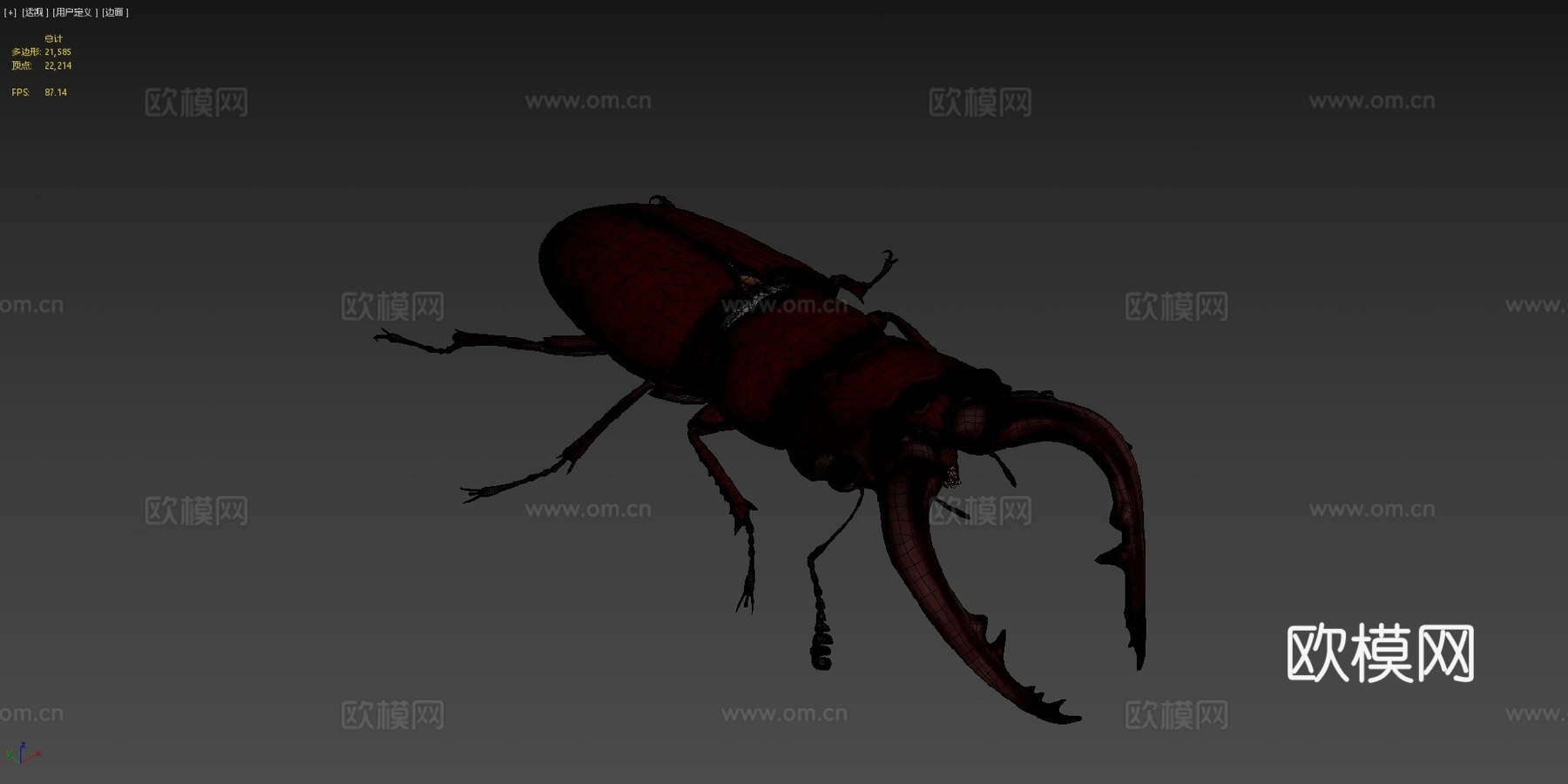 倾斜锹形虫3d模型下载（渲染图4）