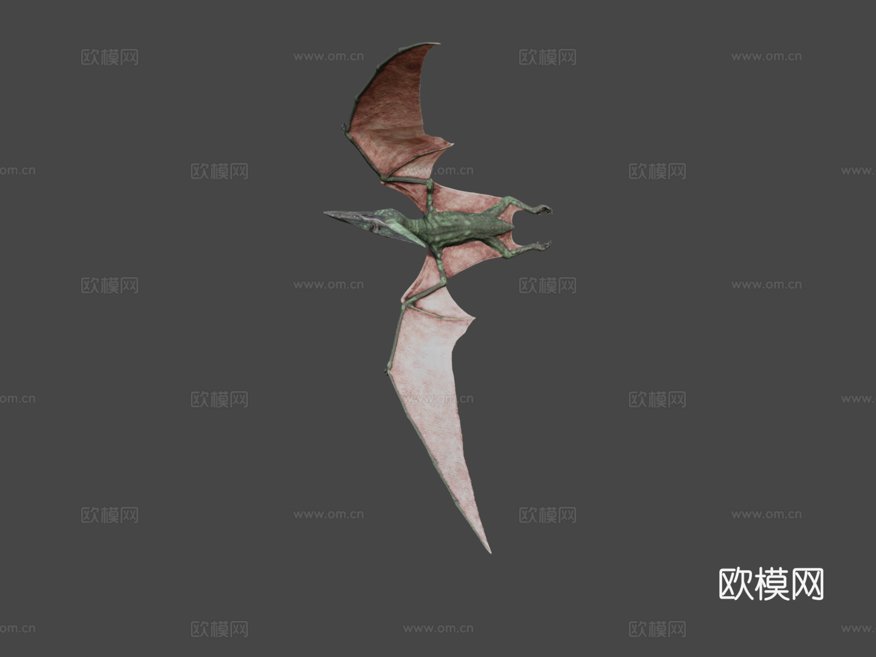 无齿翼龙3d模型下载（渲染图7）