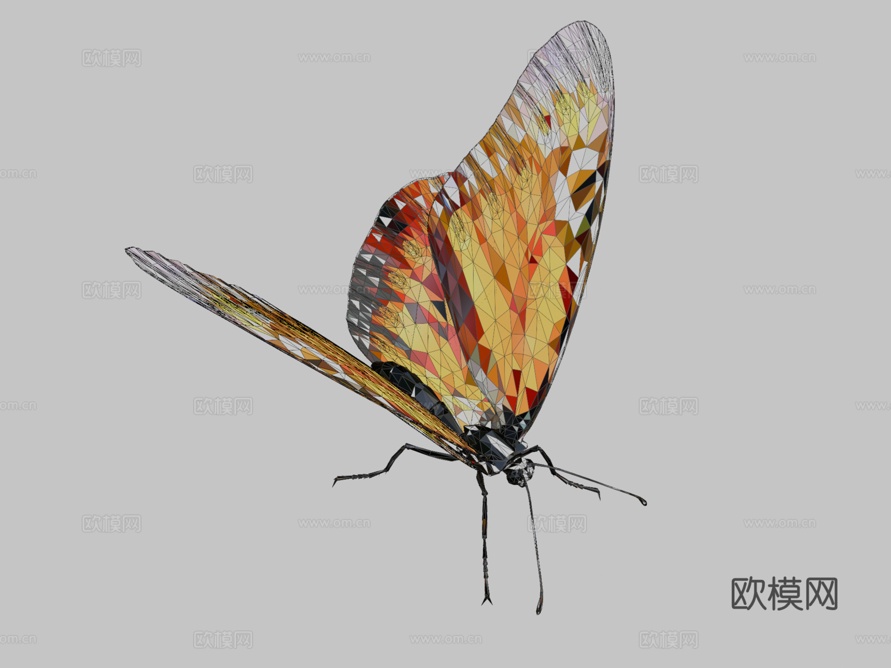 蝴蝶橙色低多边形艺术昆虫3d模型下载（渲染图2）