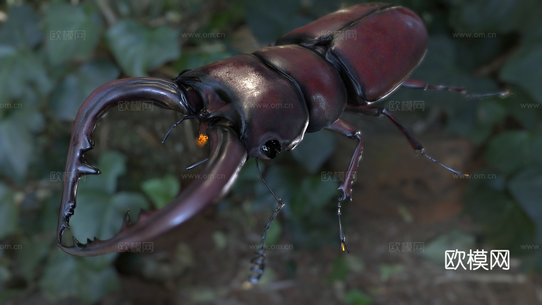 倾斜锹形虫3d模型下载（渲染图1）