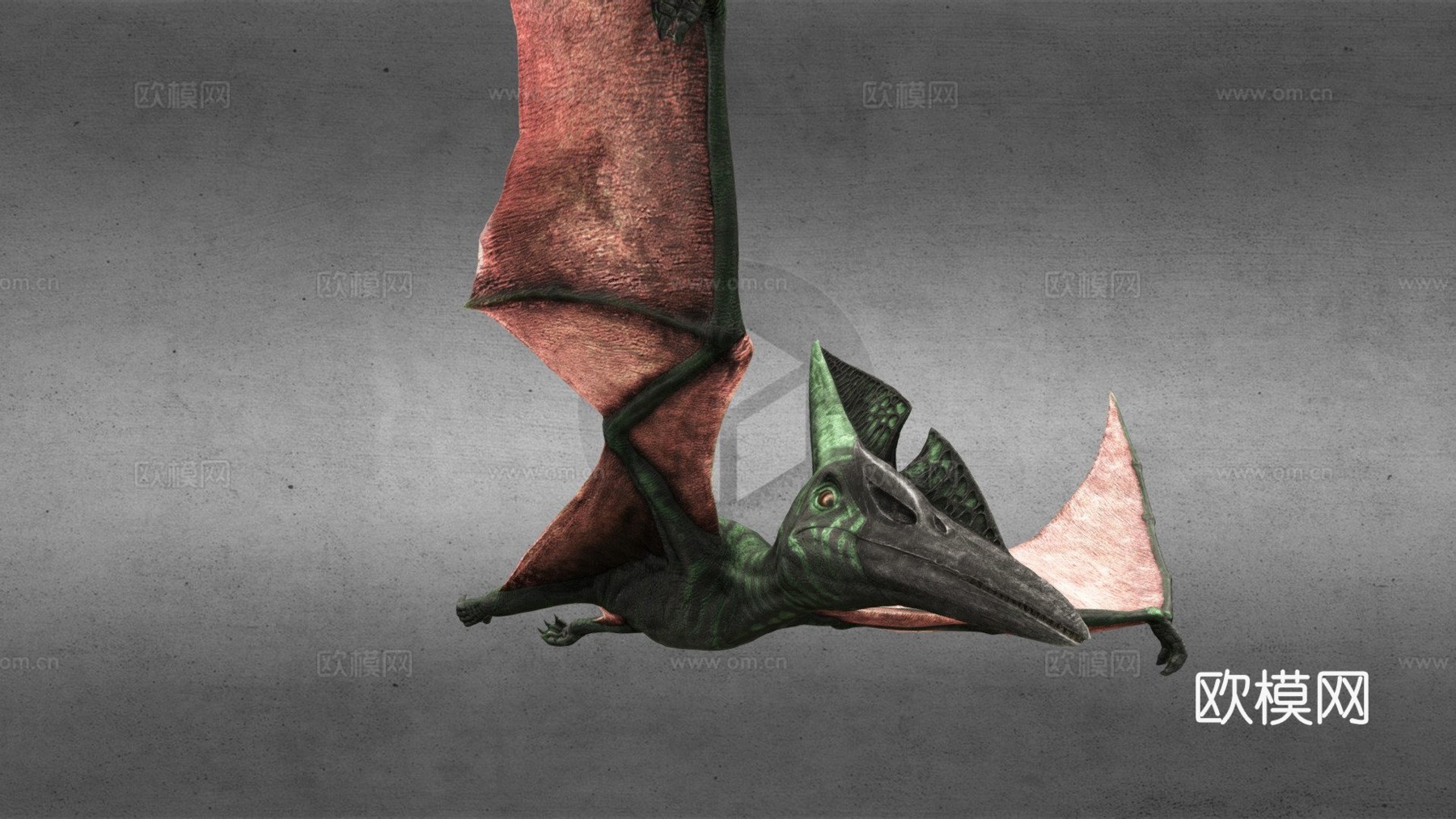 无齿翼龙3d模型下载（渲染图1）