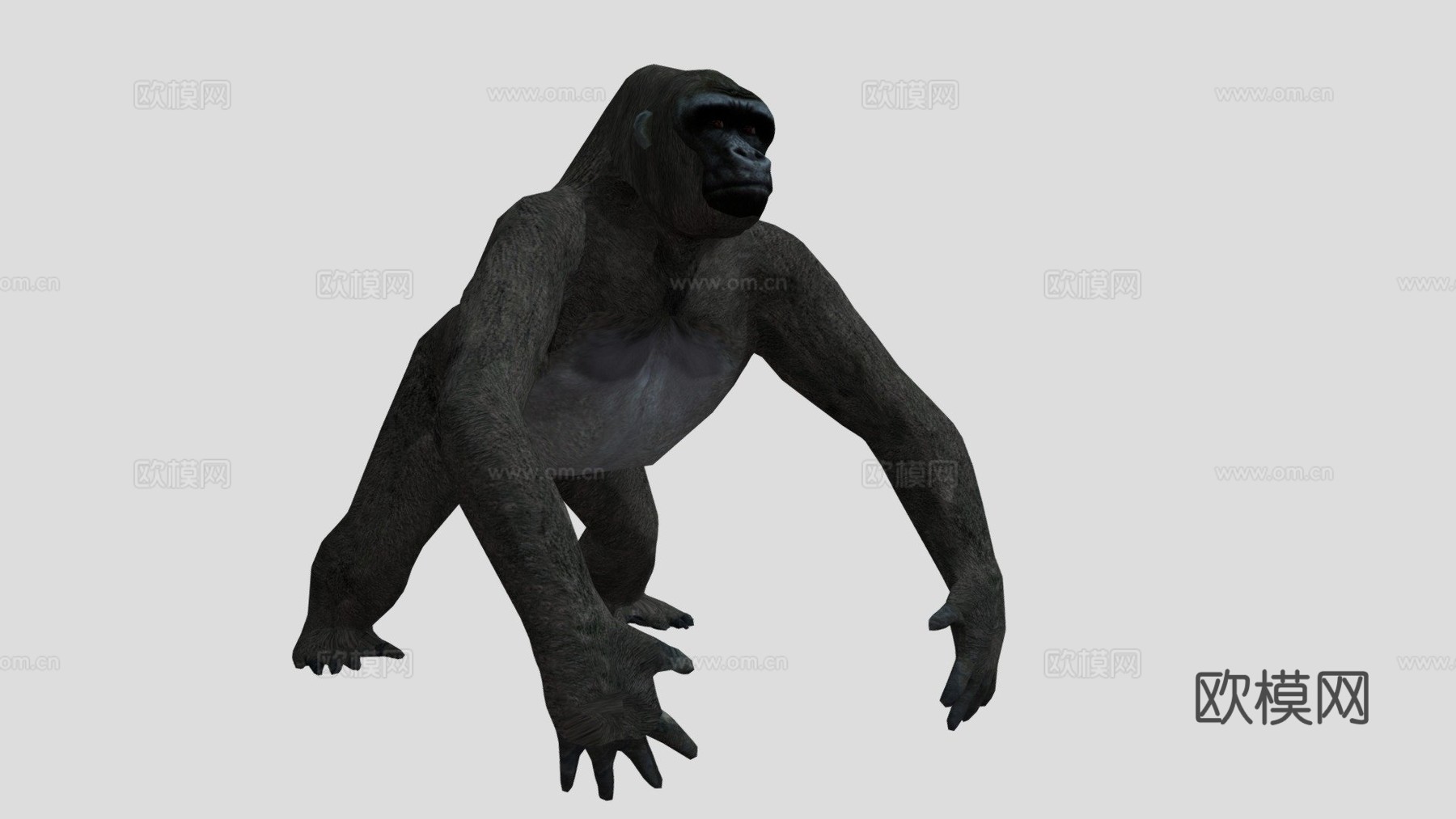 大猩猩3d模型下载（渲染图1）