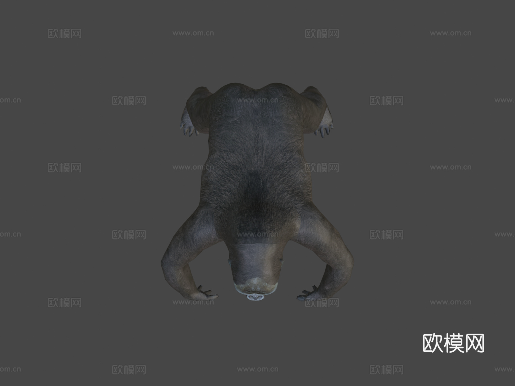 大猩猩3d模型下载（渲染图5）