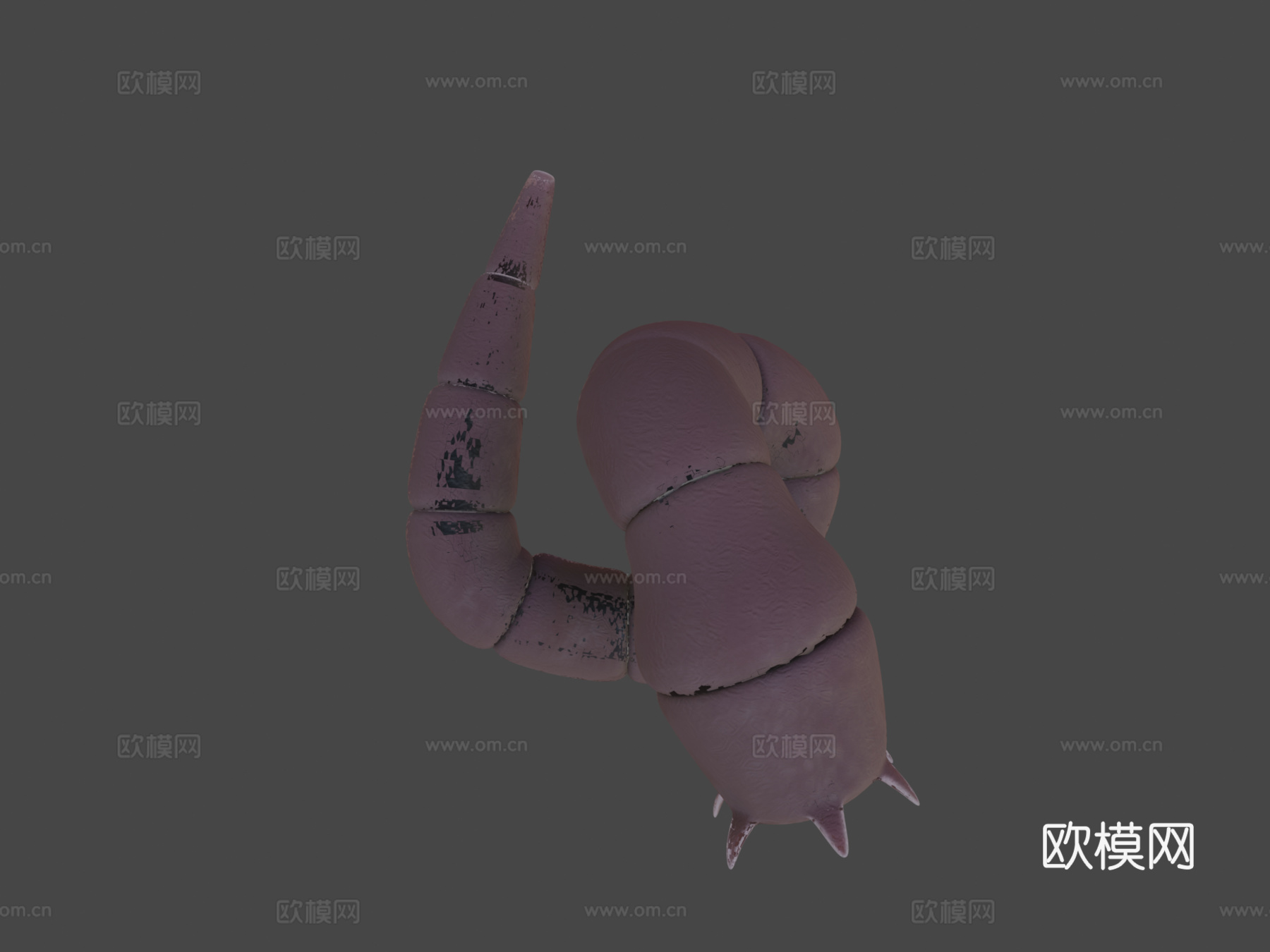 沙丘地虫4K纹理3d模型下载（渲染图8）