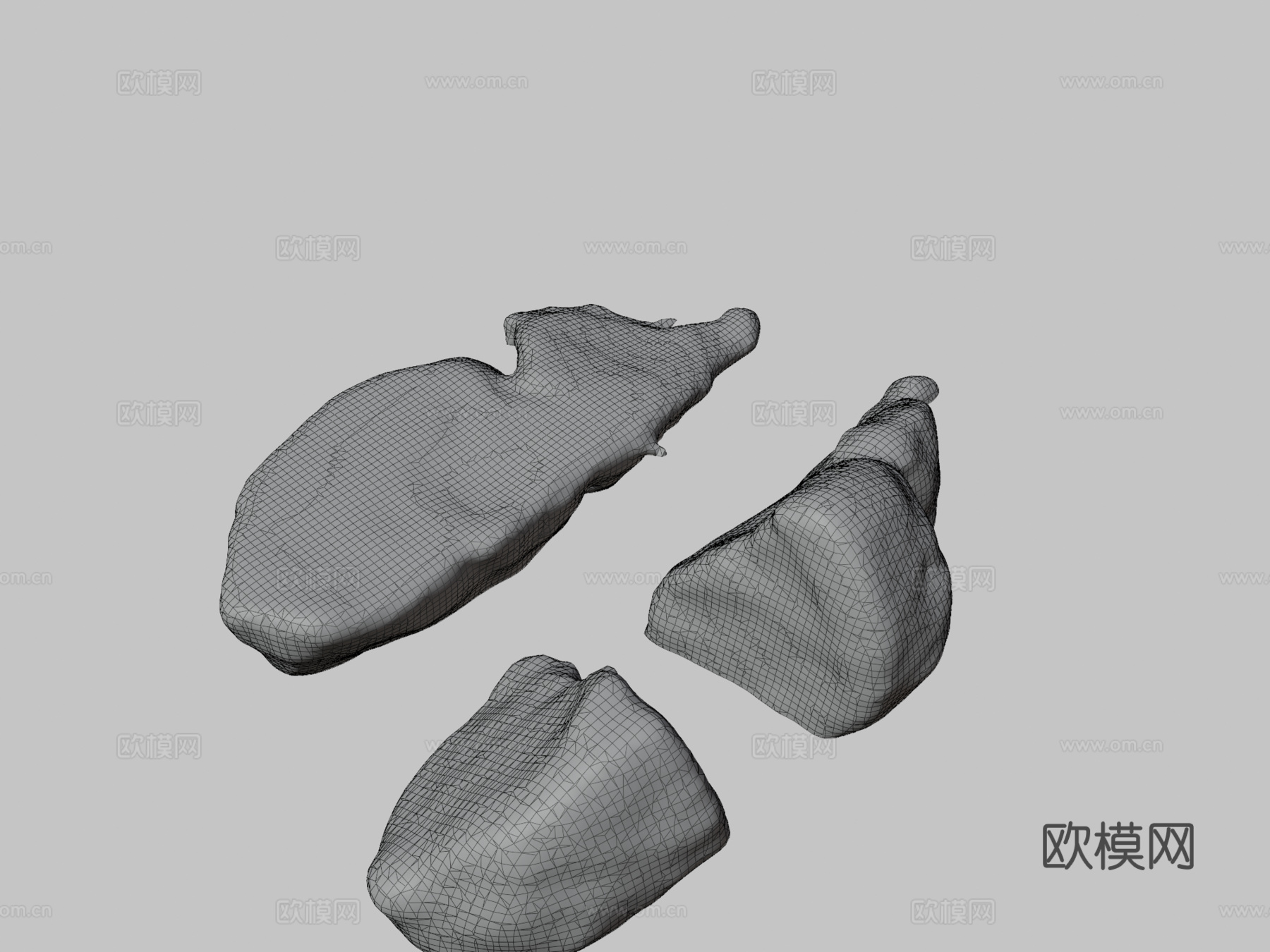 绵羊脑3d模型下载（渲染图3）