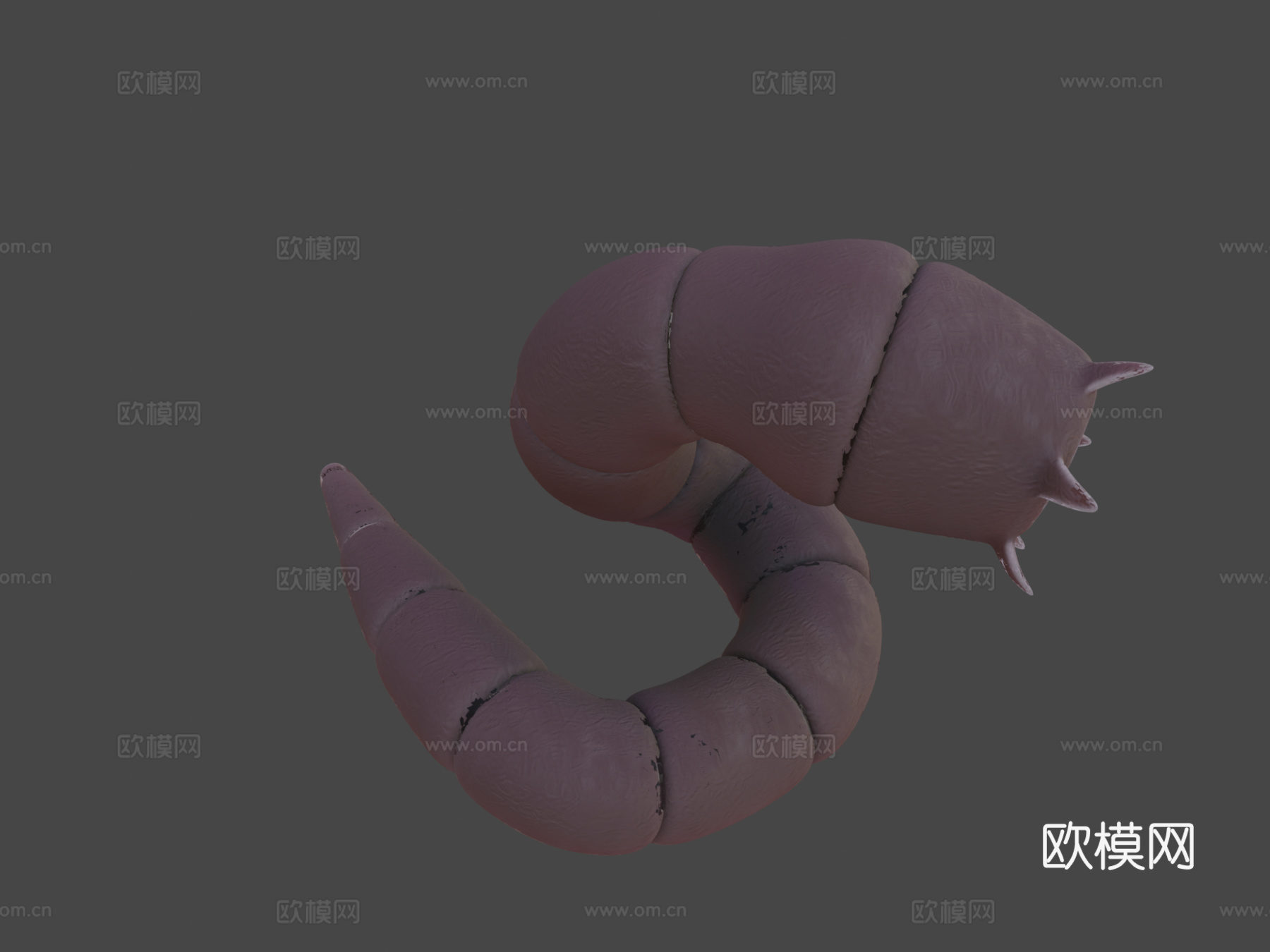 沙丘地虫4K纹理3d模型下载（渲染图6）