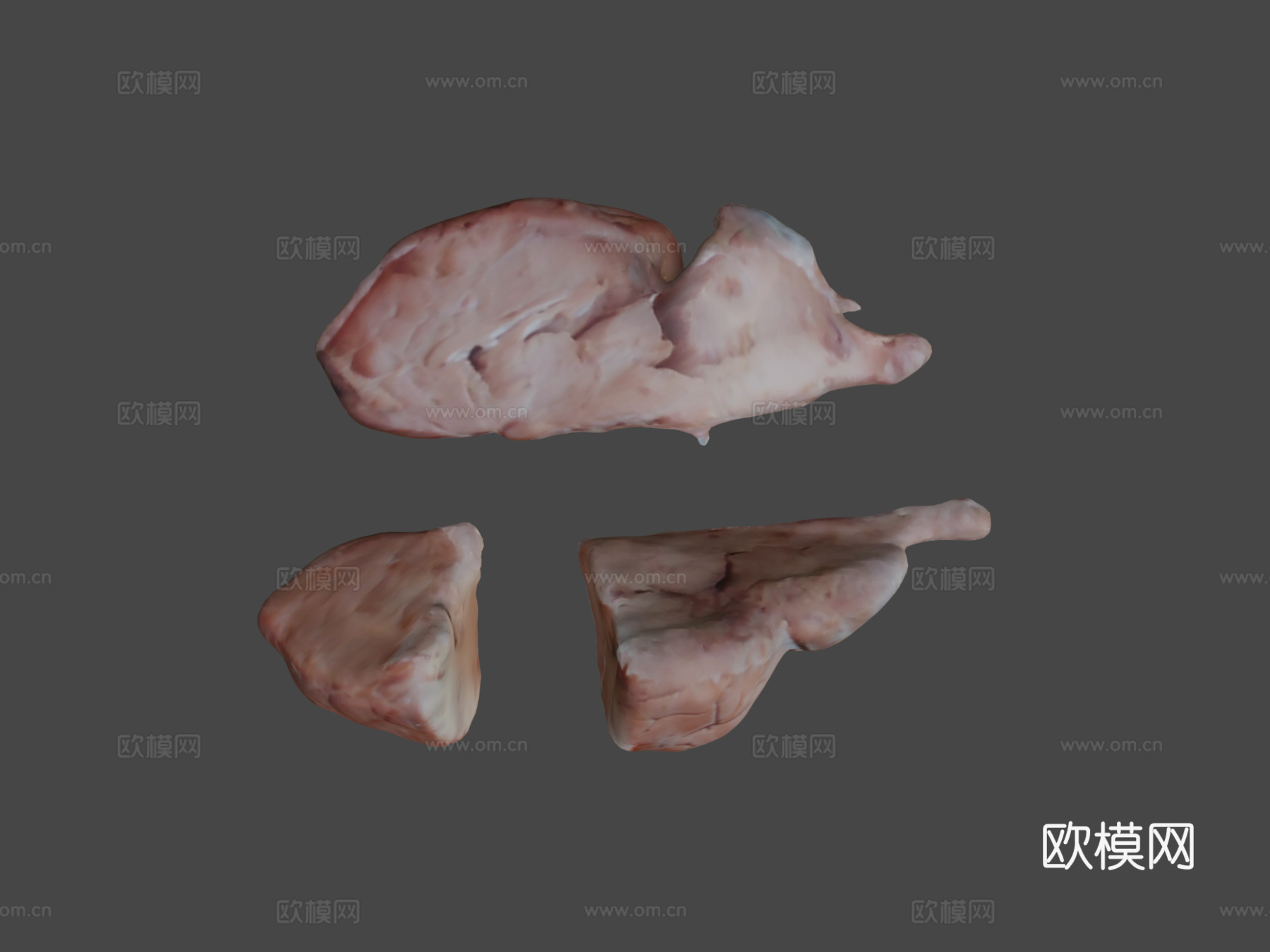 绵羊脑3d模型下载（渲染图7）