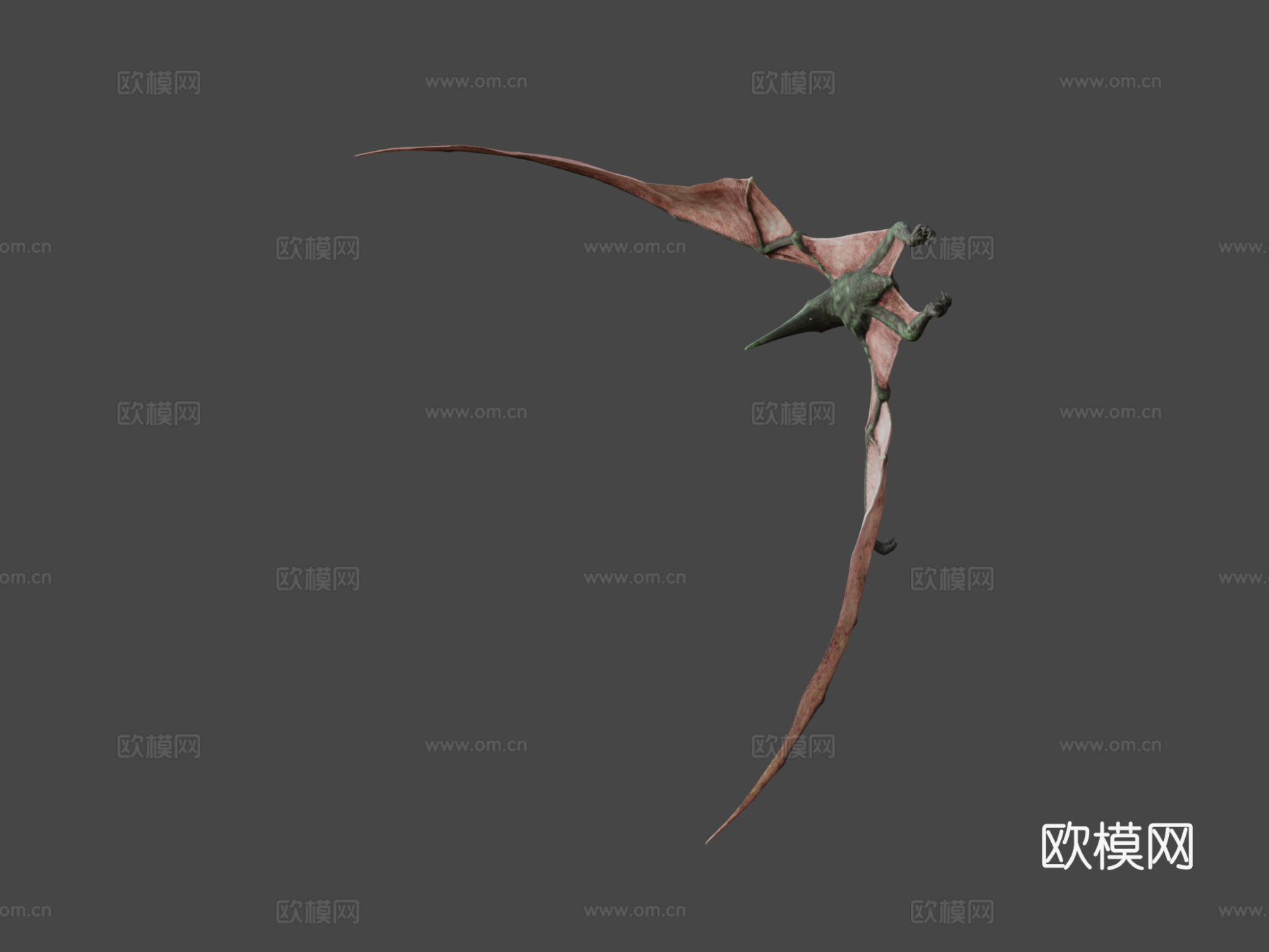 无齿翼龙3d模型下载（渲染图5）