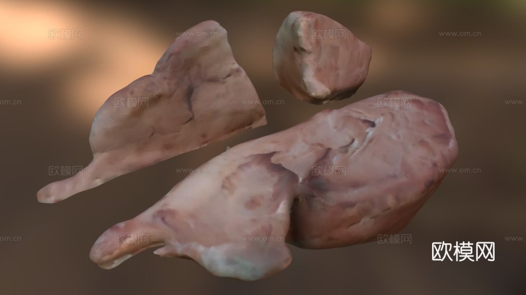 绵羊脑3d模型下载（渲染图1）