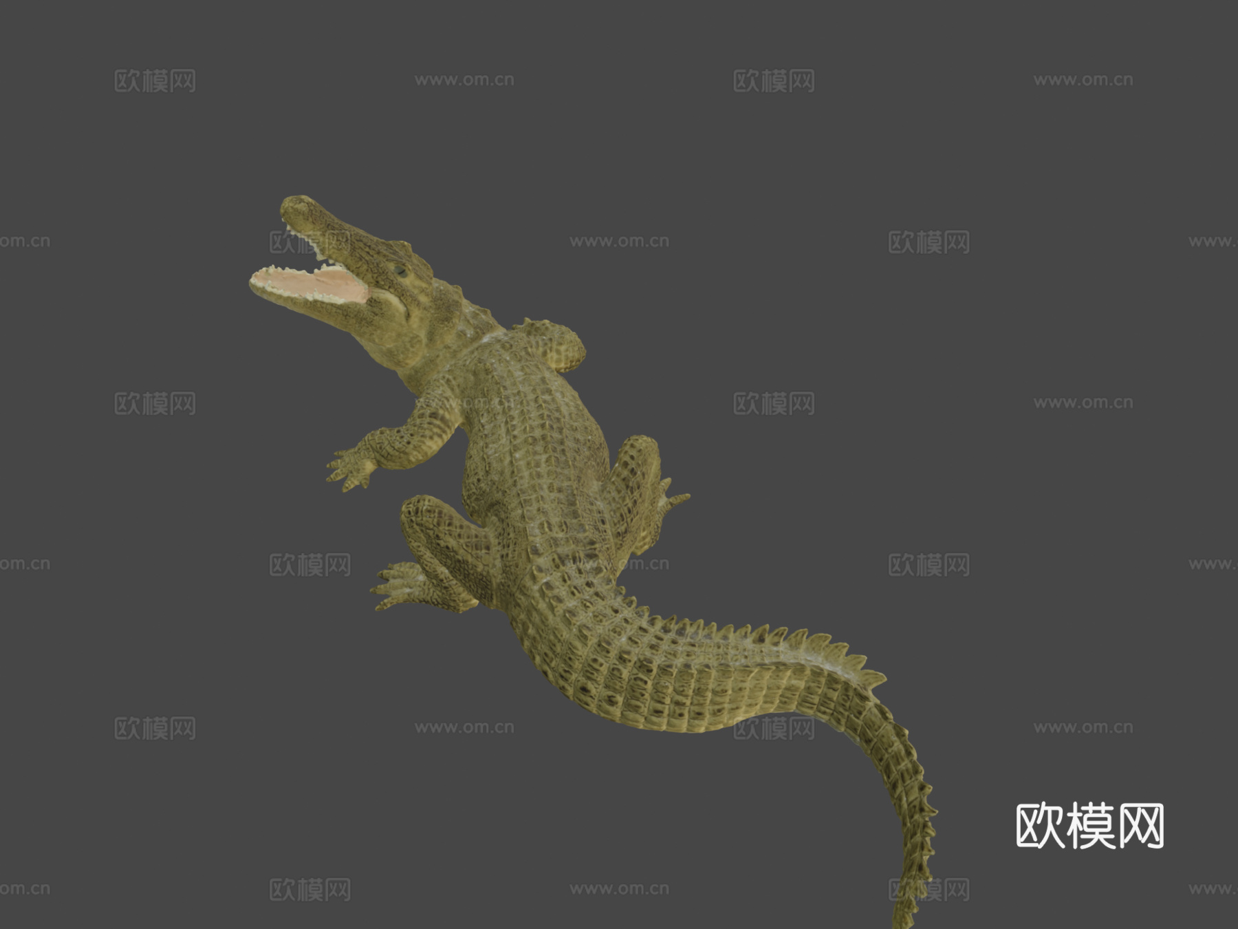 尼罗鳄3d模型下载（渲染图8）