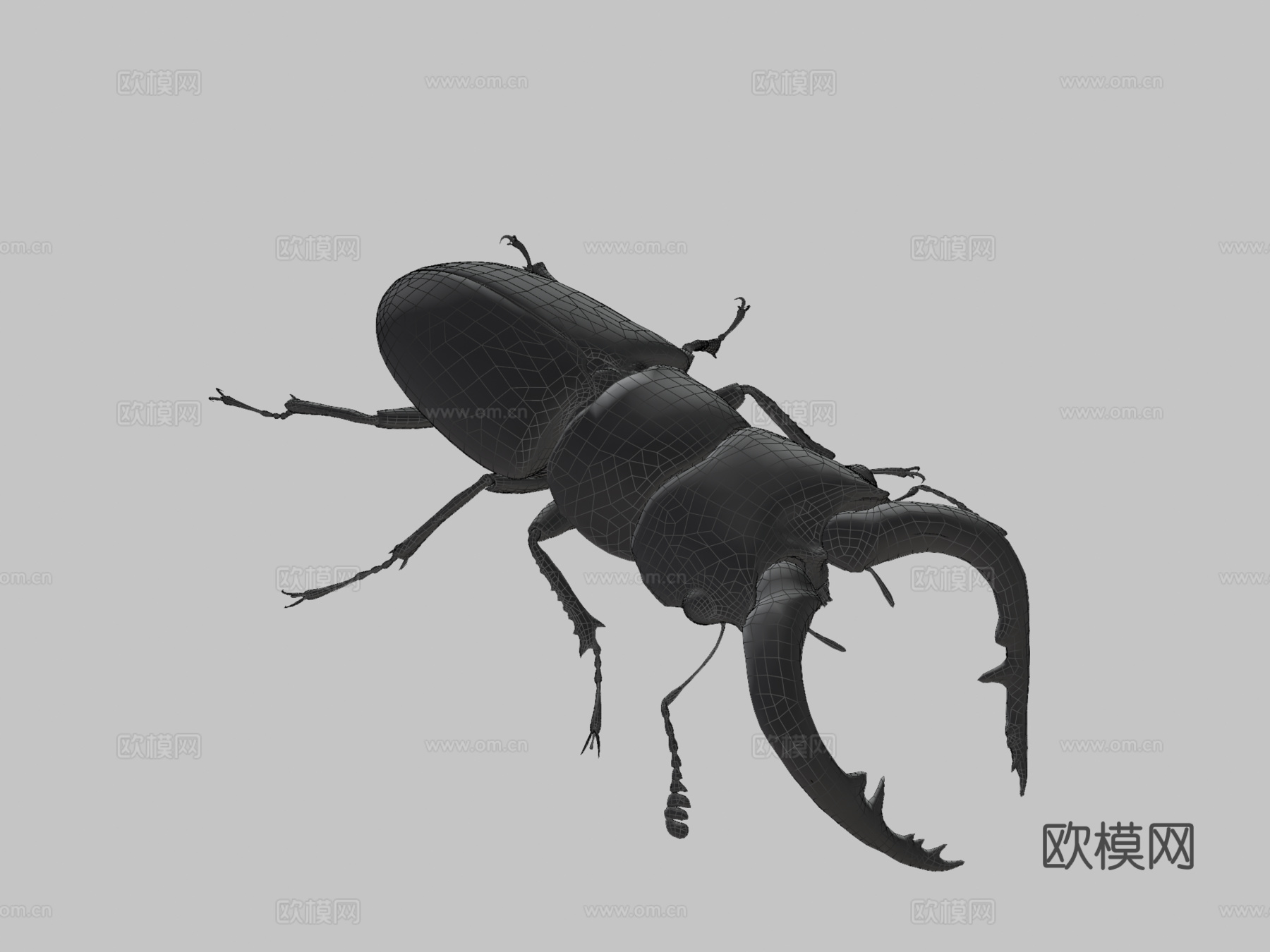 倾斜锹形虫3d模型下载（渲染图3）