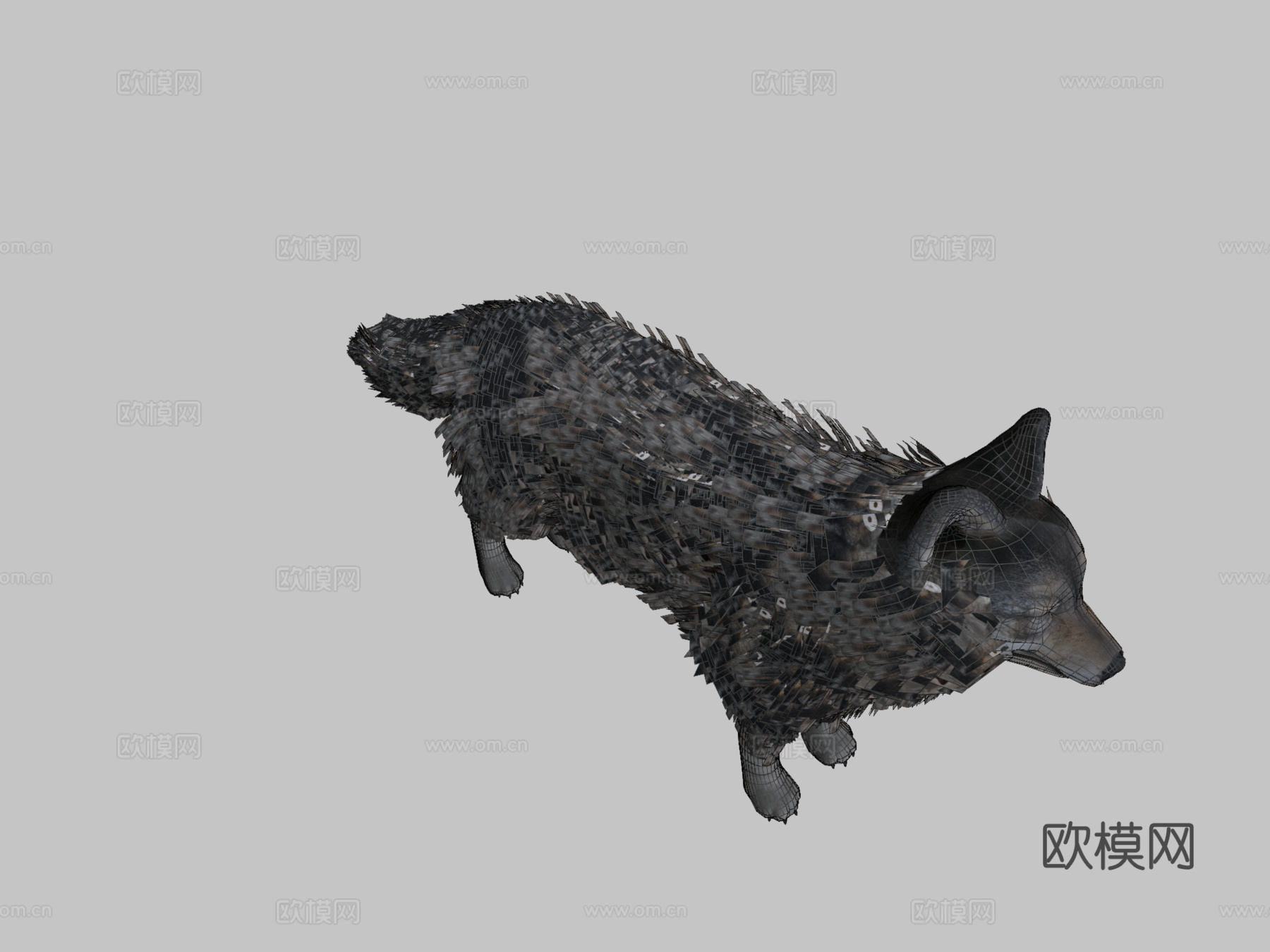 逼真狼3d模型下载（渲染图2）