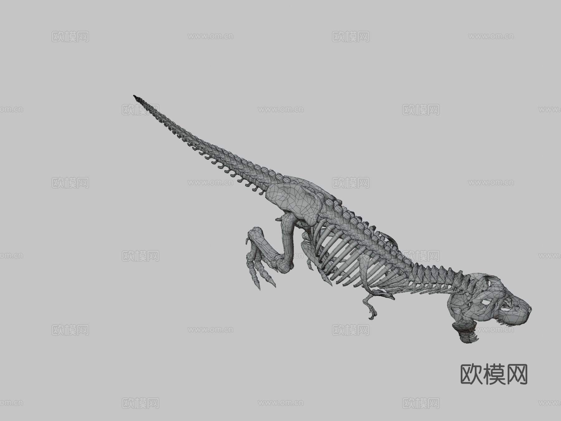 霸王龙骨架3d模型下载（渲染图3）