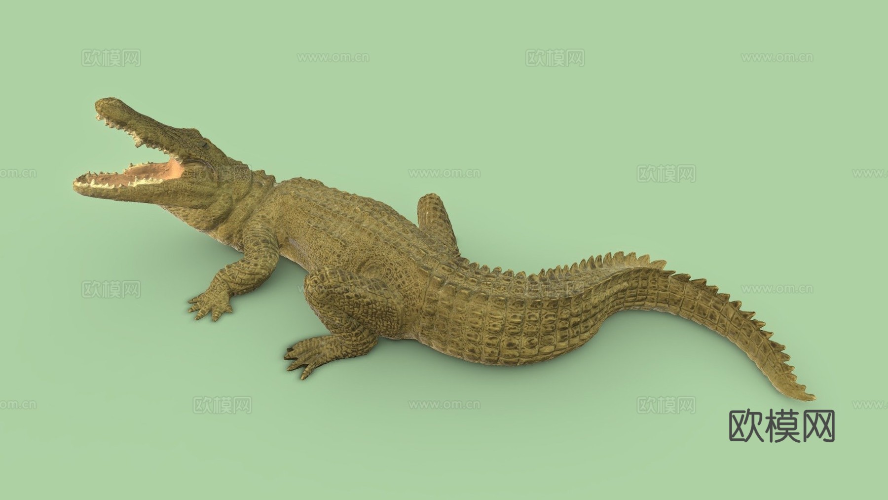 尼罗鳄3d模型下载（渲染图1）