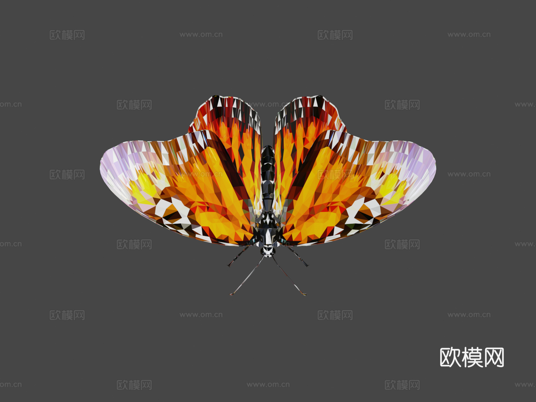 蝴蝶橙色低多边形艺术昆虫3d模型下载（渲染图8）