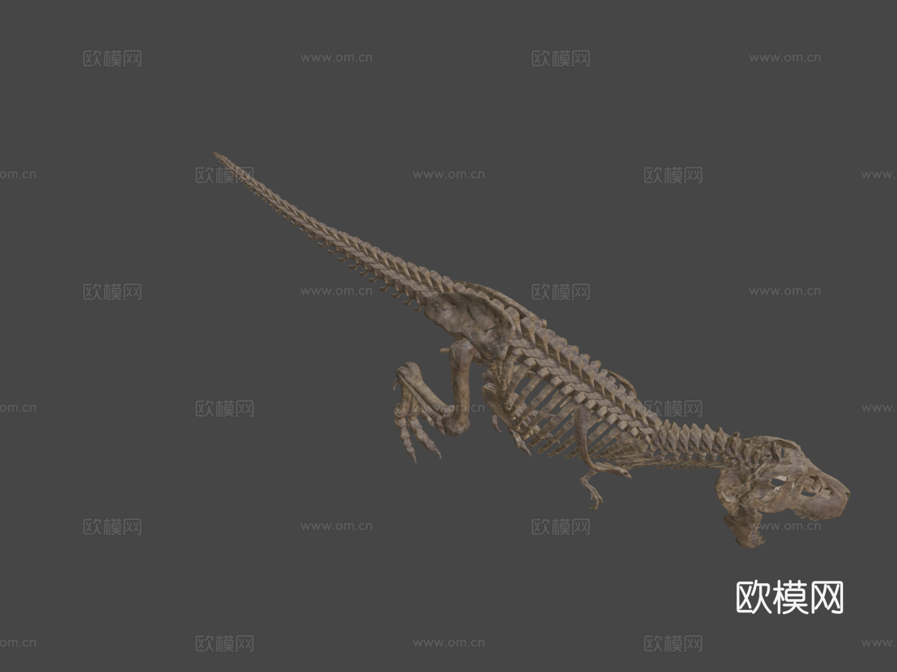 霸王龙骨架3d模型下载（渲染图7）