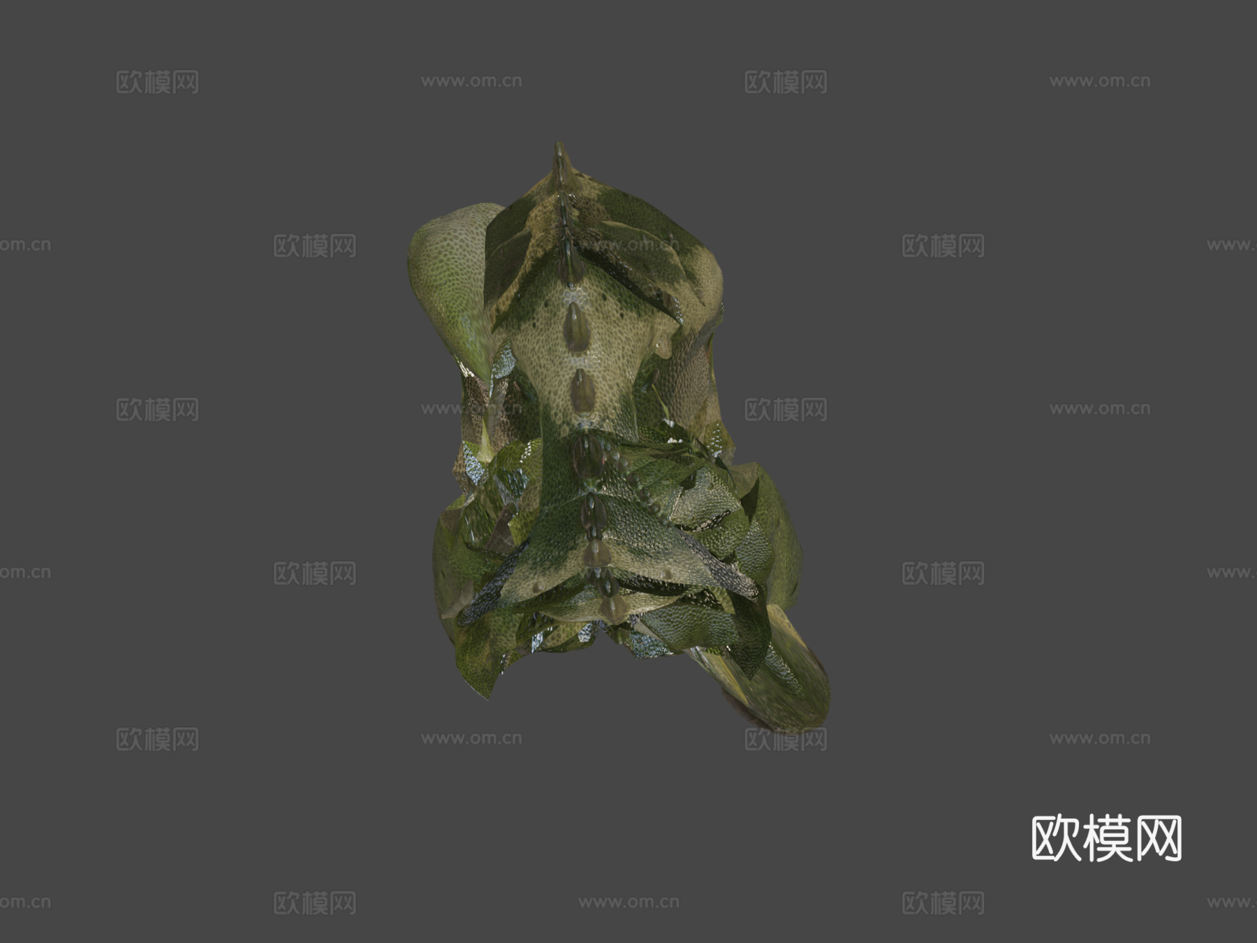 贝尼萨尔禽龙3d模型下载（渲染图5）