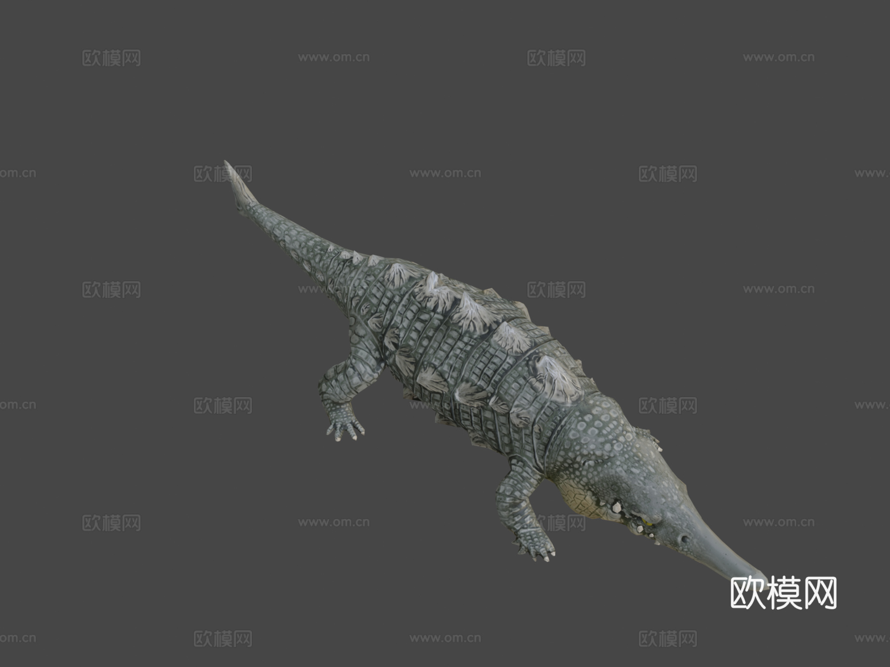 鲟鳄高多边形3d模型下载（渲染图6）