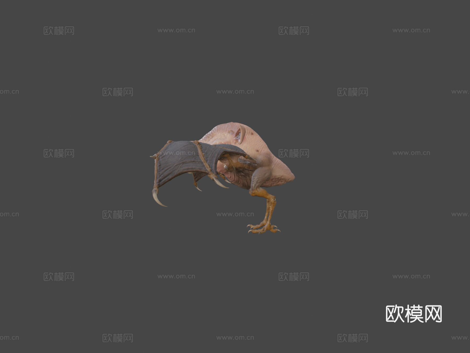 空中猪3d模型下载（渲染图5）