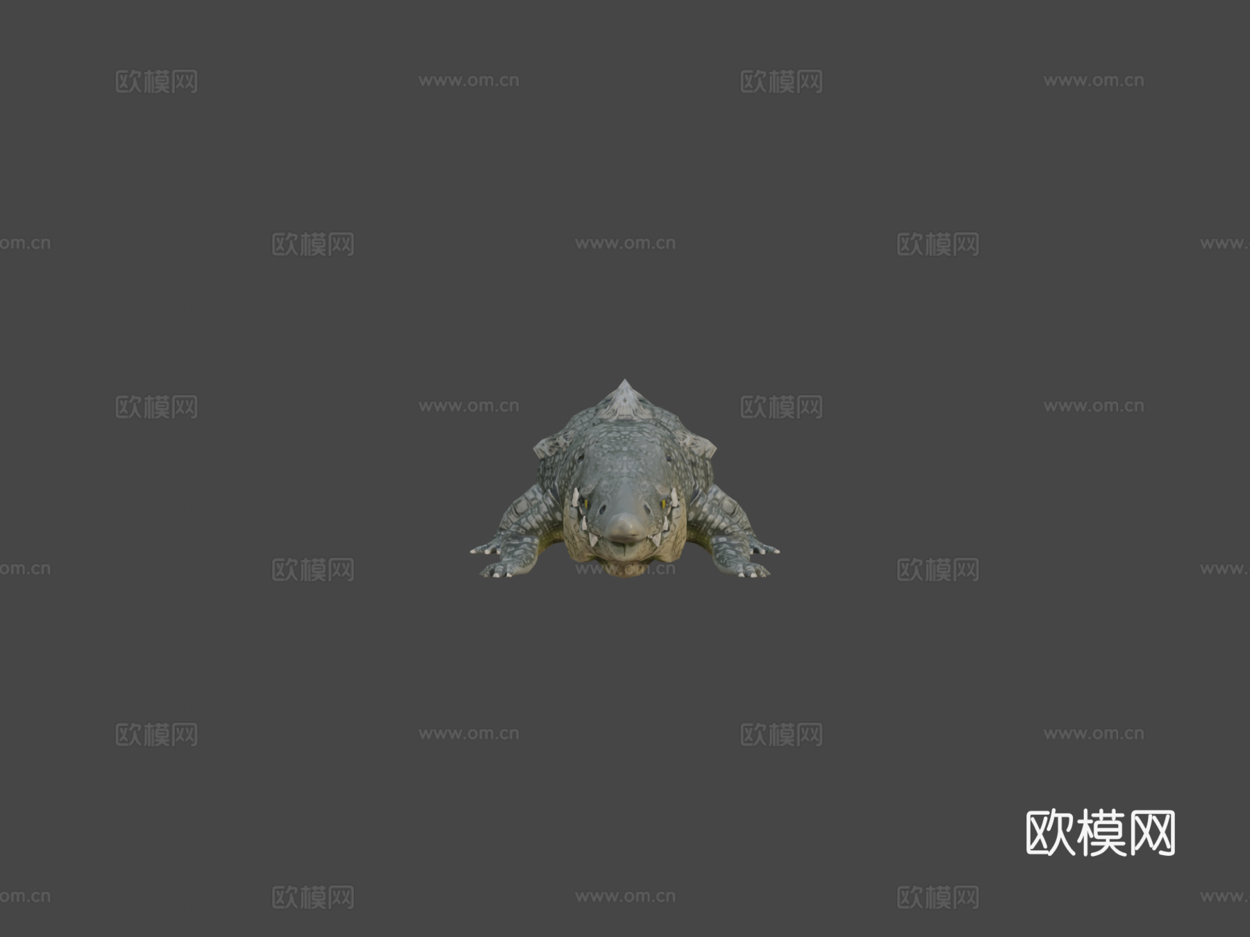 鲟鳄高多边形3d模型下载（渲染图5）