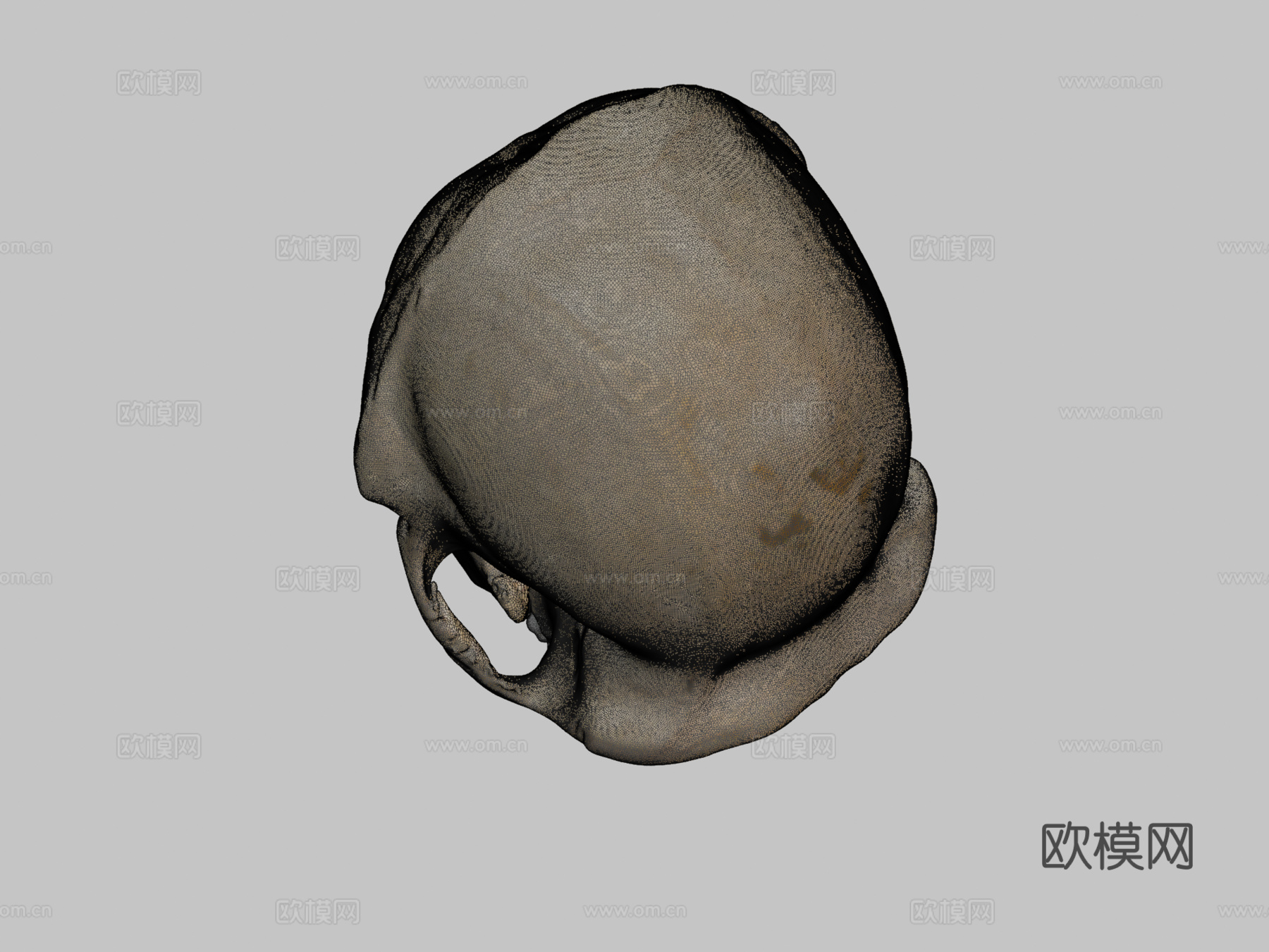 哺乳动物  黑猩猩3d模型下载（渲染图2）