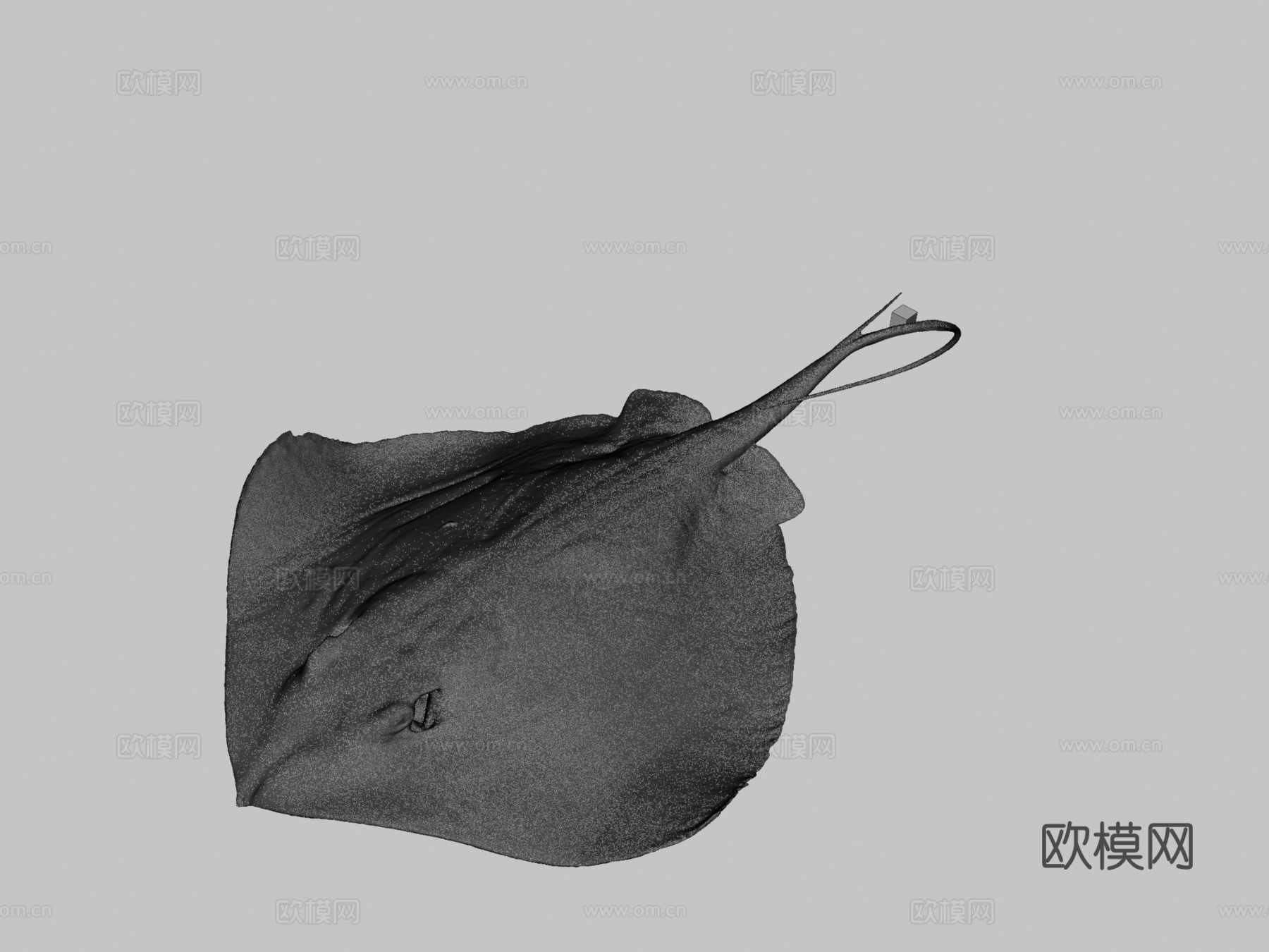 CC0 伊豆姬魟伊豆半魟3d模型下载（渲染图3）