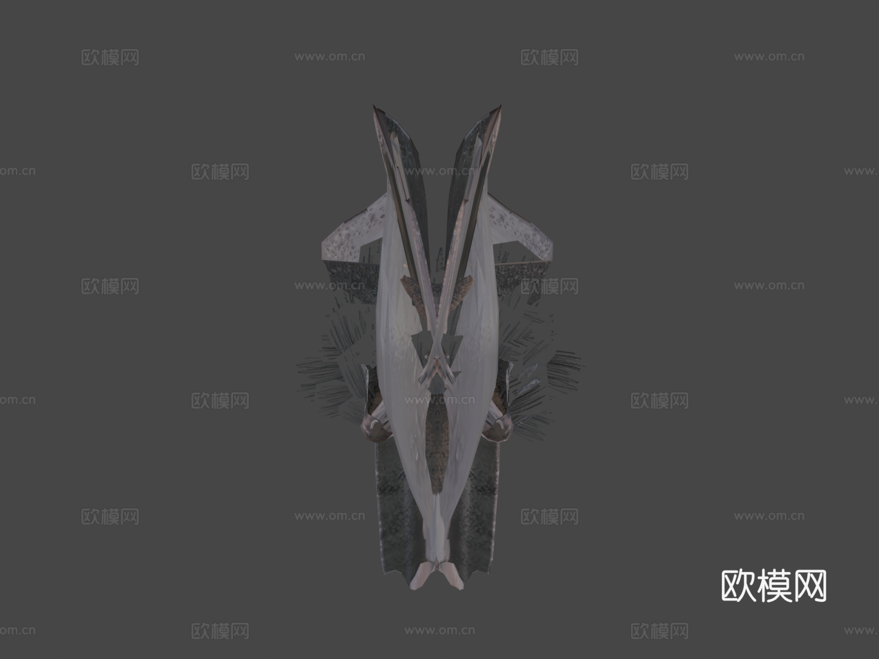 普通吸血蝠圆头叶口蝠3d模型下载（渲染图5）
