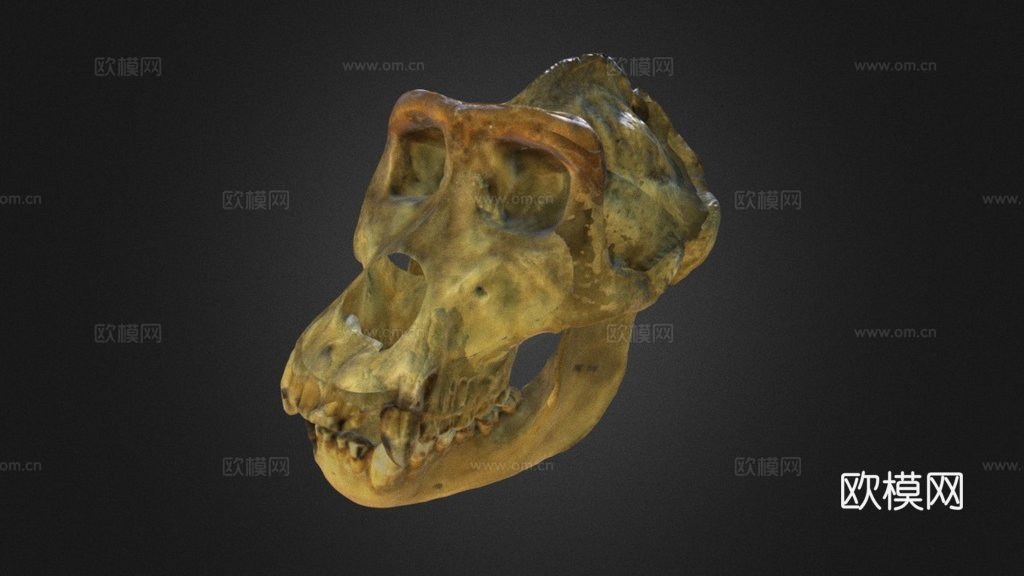 大猩猩3d模型下载（渲染图1）