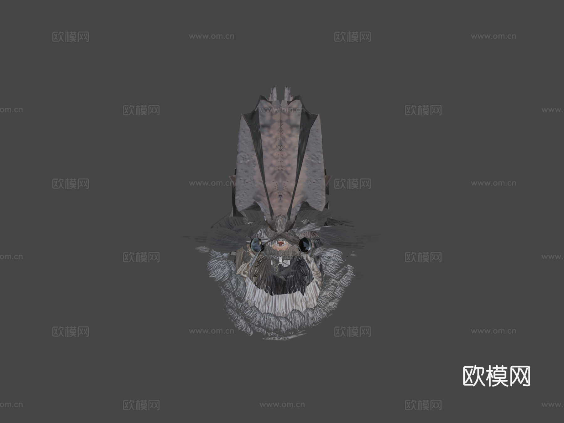 普通吸血蝠圆头叶口蝠3d模型下载（渲染图7）
