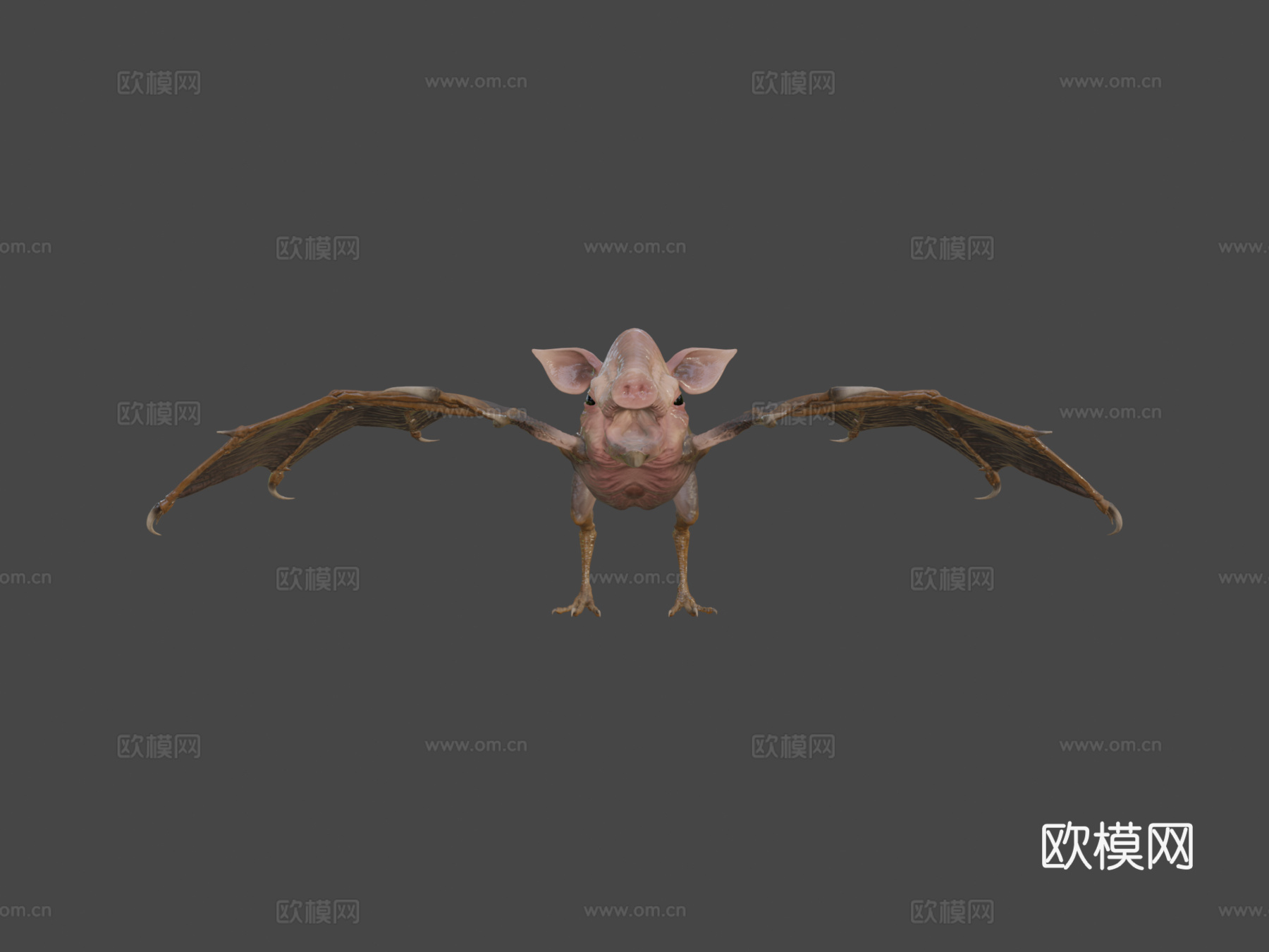 空中猪3d模型下载（渲染图6）