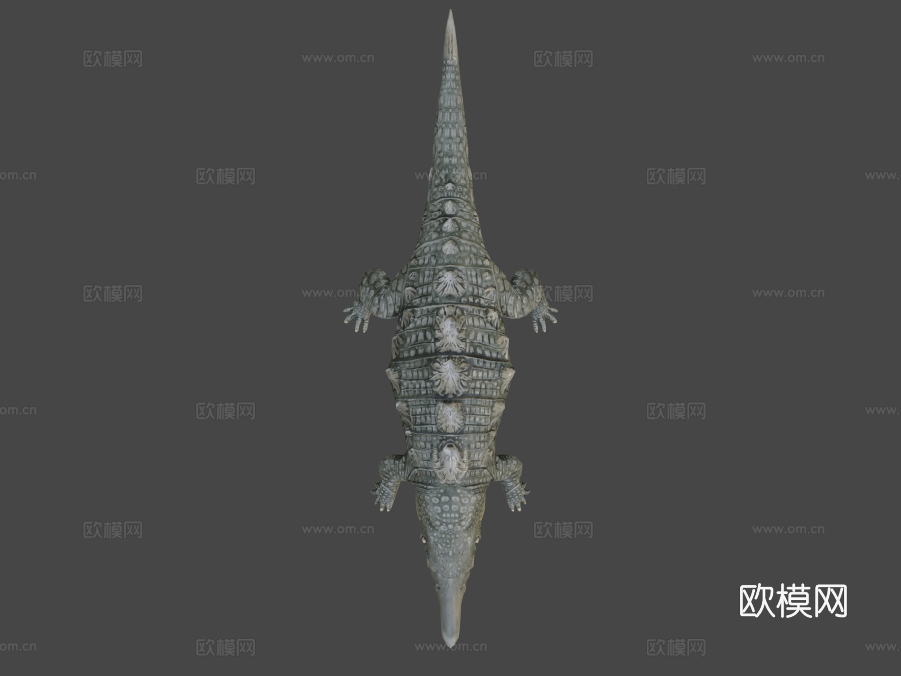 鲟鳄高多边形3d模型下载（渲染图8）