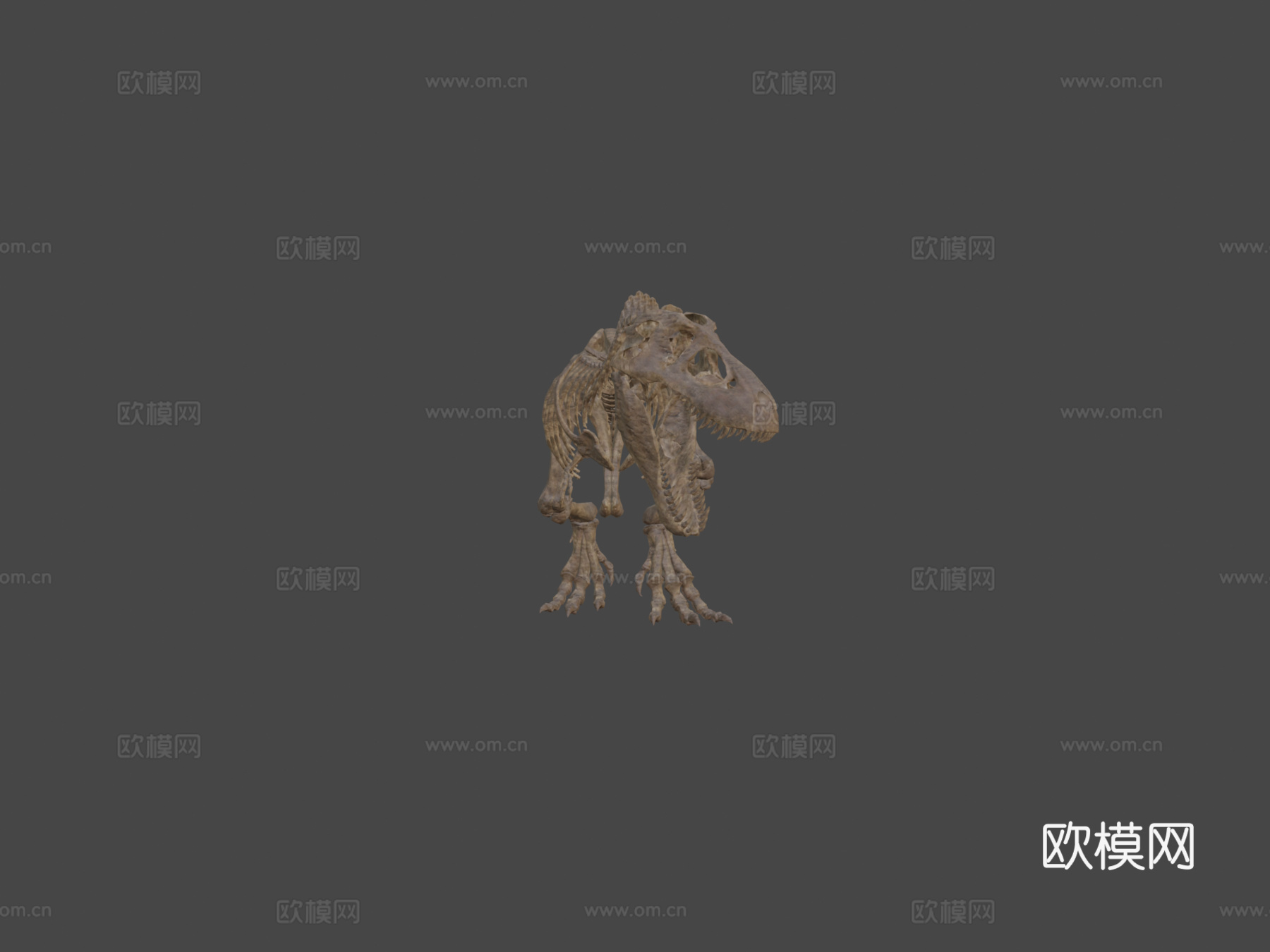 霸王龙骨架3d模型下载（渲染图5）