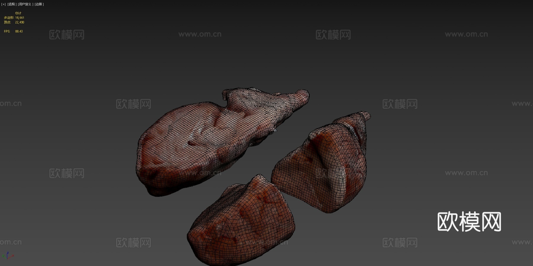 绵羊脑3d模型下载（渲染图4）