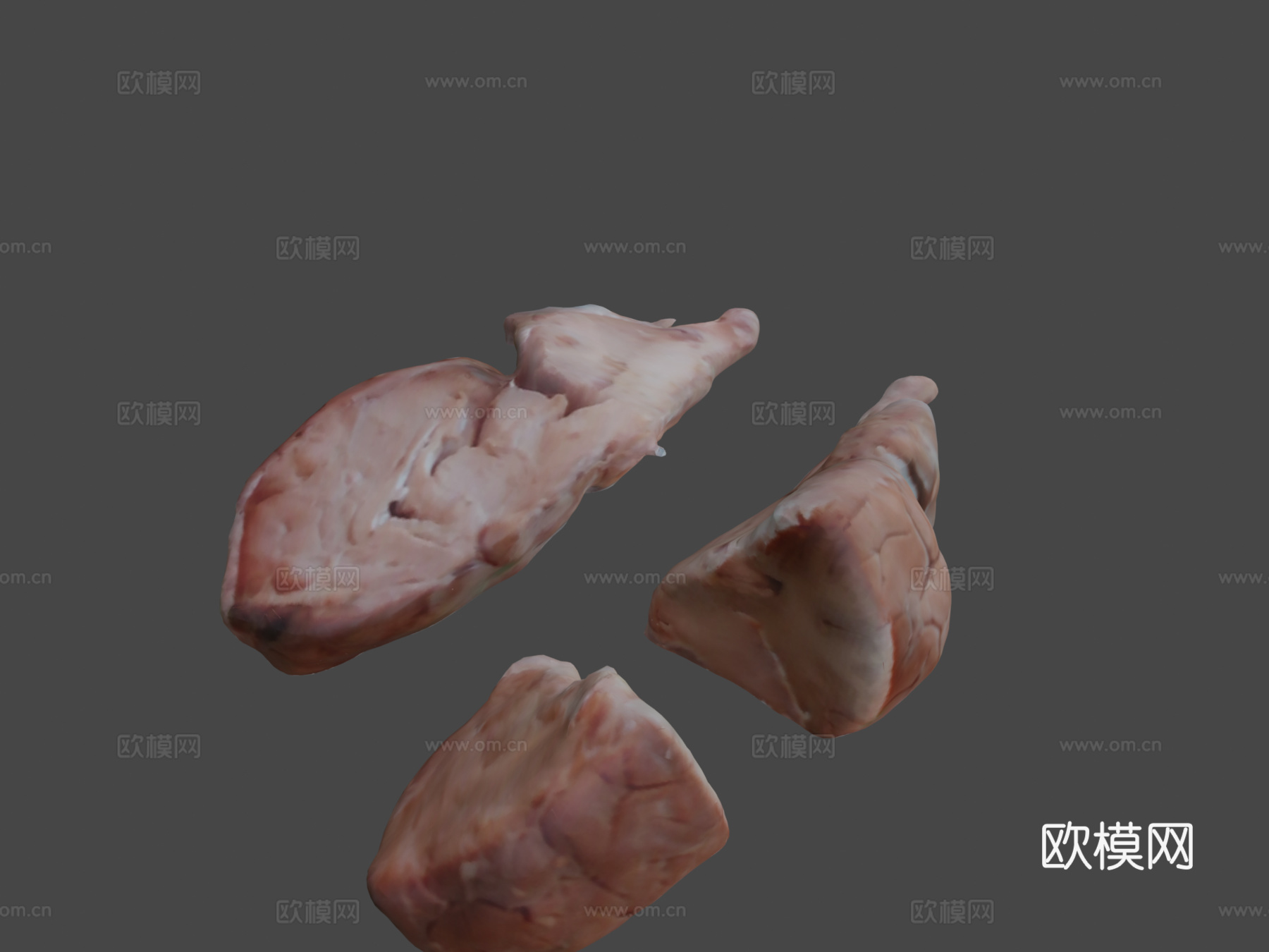 绵羊脑3d模型下载（渲染图8）