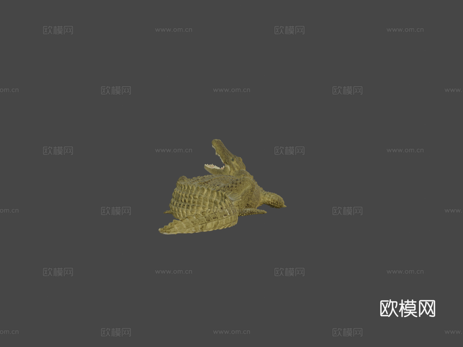 尼罗鳄3d模型下载（渲染图5）