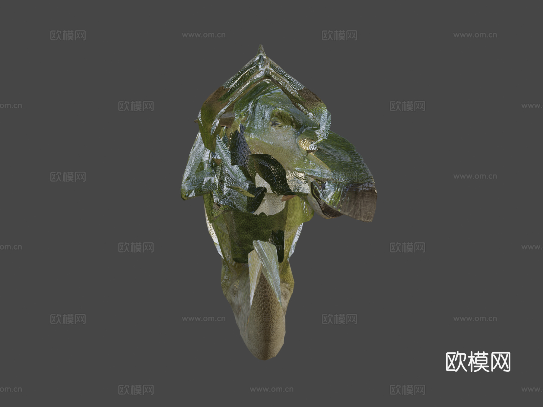 贝尼萨尔禽龙3d模型下载（渲染图6）