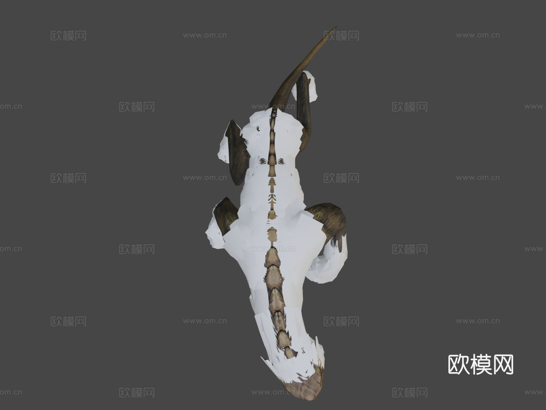 寻血猎犬3d模型下载（渲染图6）